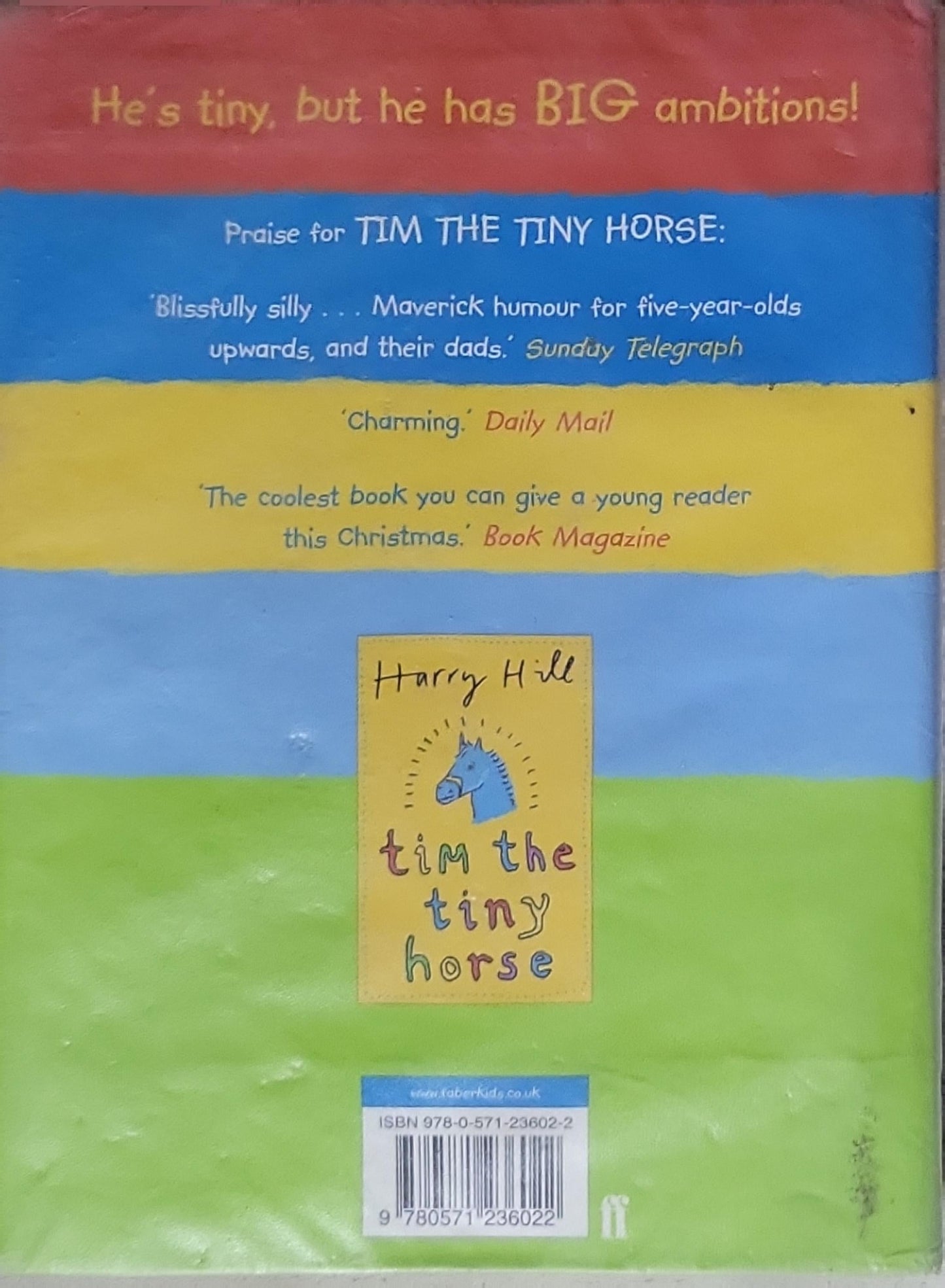 Tim the Tiny Horse