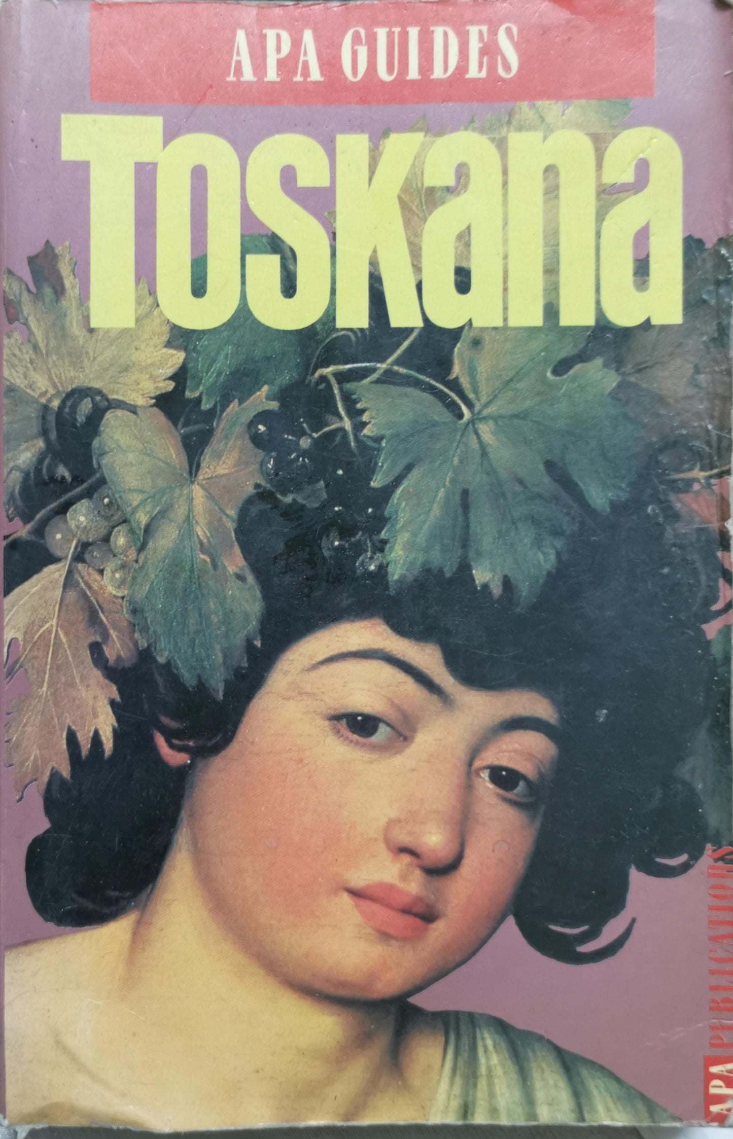 Toskana By APA Guides