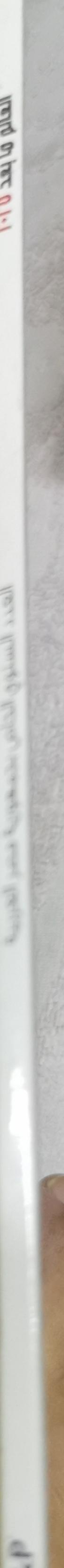 Town Writers: Developing Narratives, 2025 Vision By Town Writers