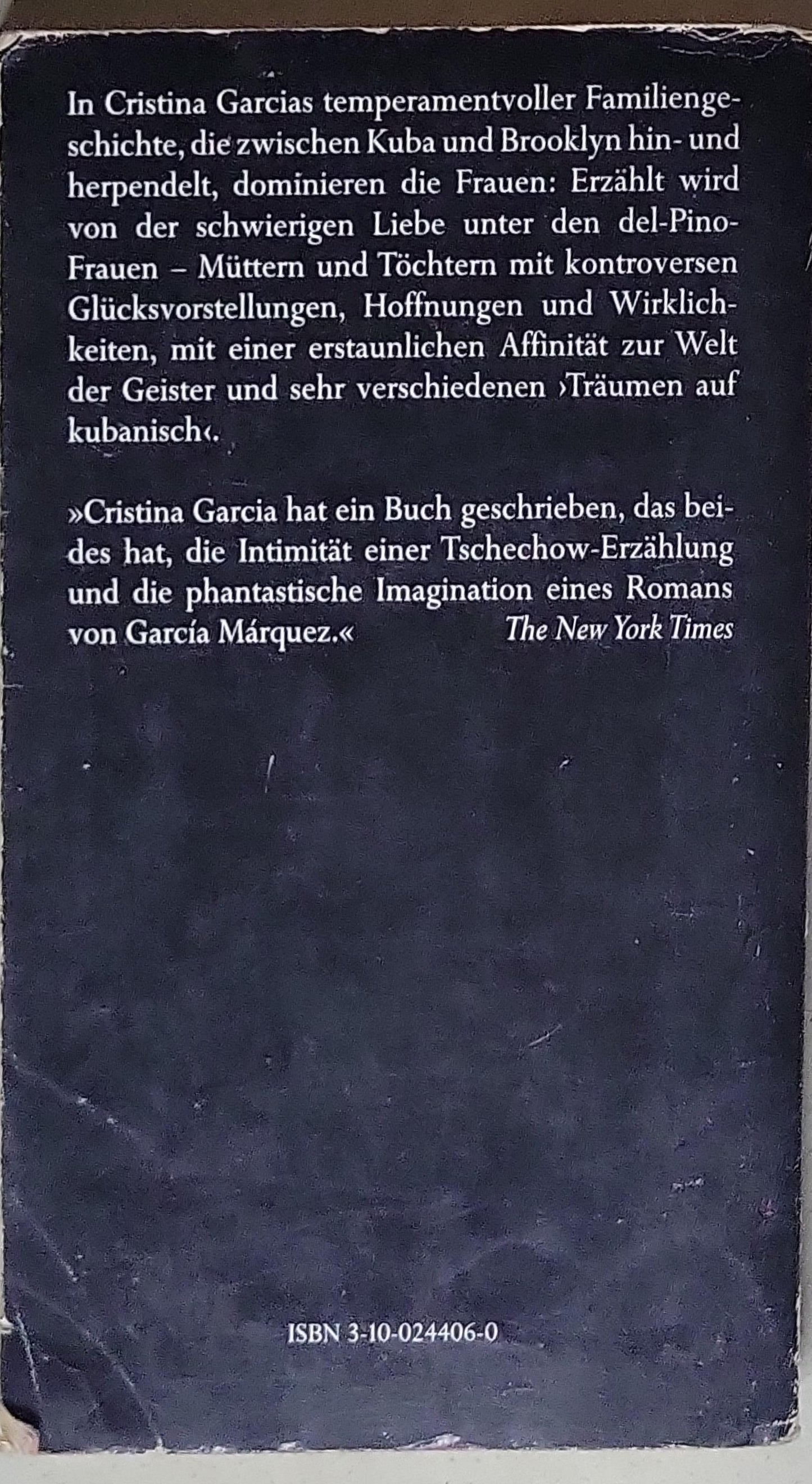Träumen auf kubanisch: Roman