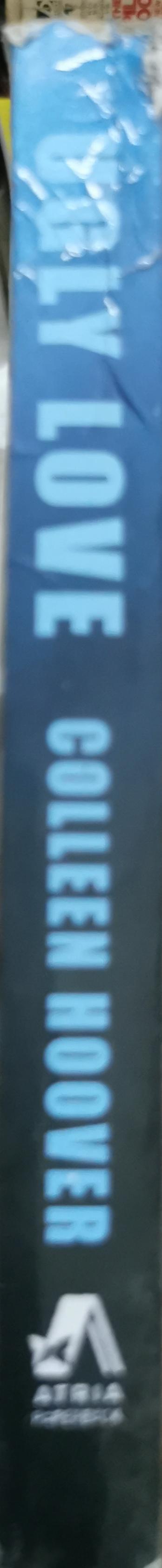 Ugly Love: a novel By Colleen Hoover