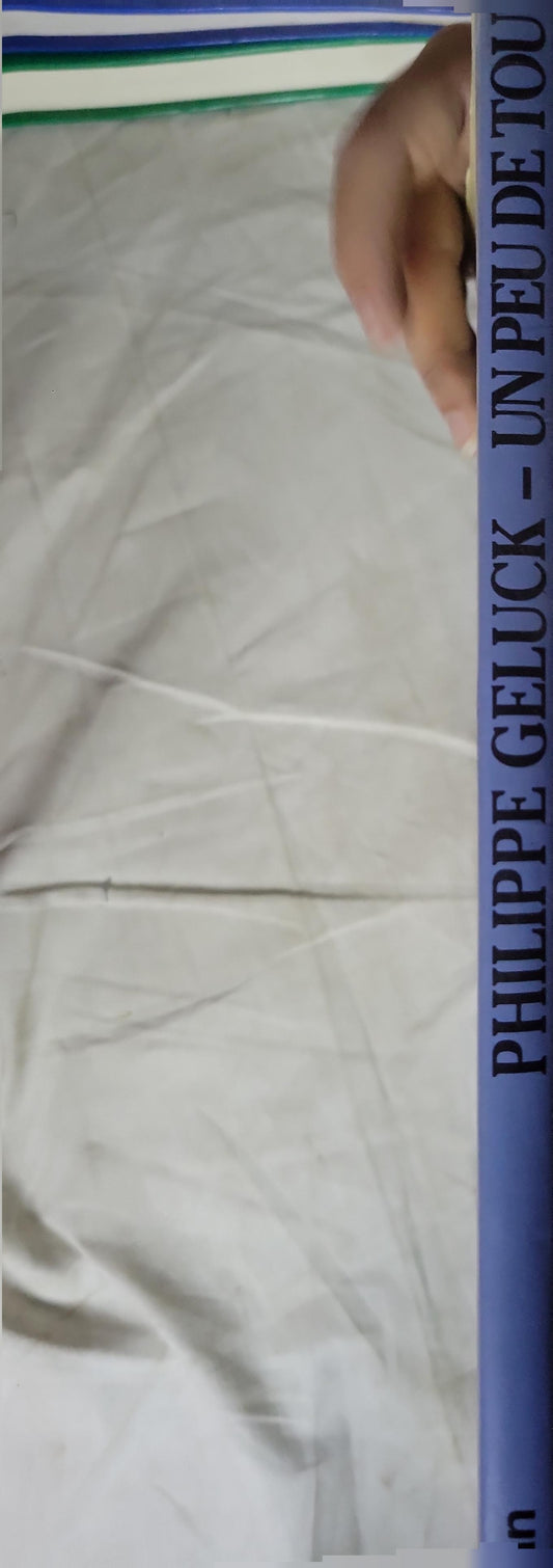 UN PEU DE TOUT: ENCYCLOPÉDIE UNIVERSELLE By PHILIPPE GELUCK