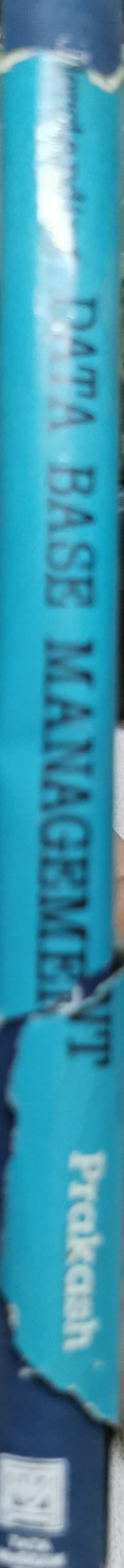 Understanding Data Base Management By Naveen Prakash