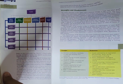 Understanding the Theory and Design of Organizations