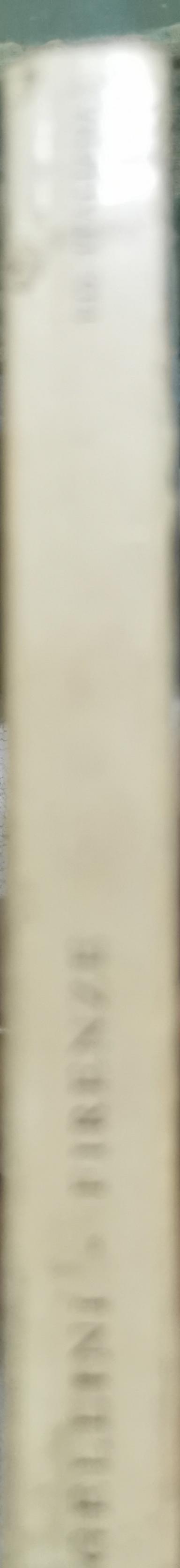 Vedere e capire Firenze By Piero Bargellini