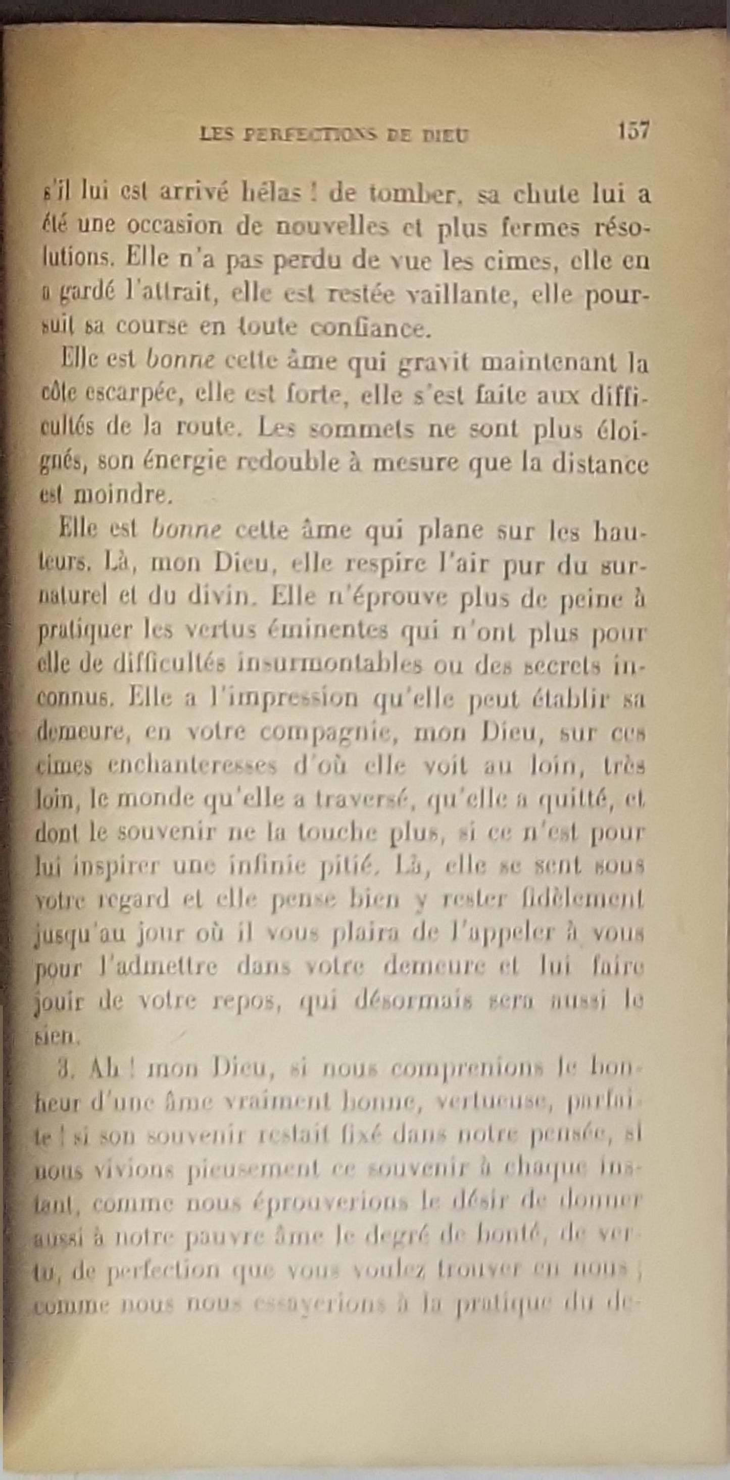 VERITAS: La Vie chrétienne raisonnée et méditée