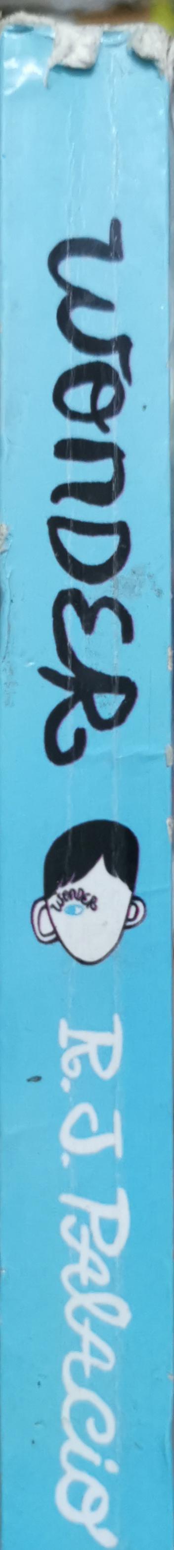 Wonder: Paperback, 10th Anniversary Edition By R. J. Palacio