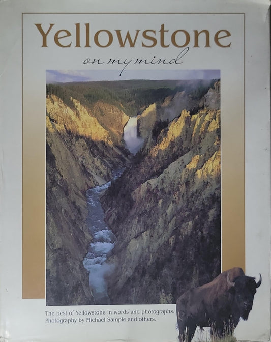 Yellowstone: On My Mind